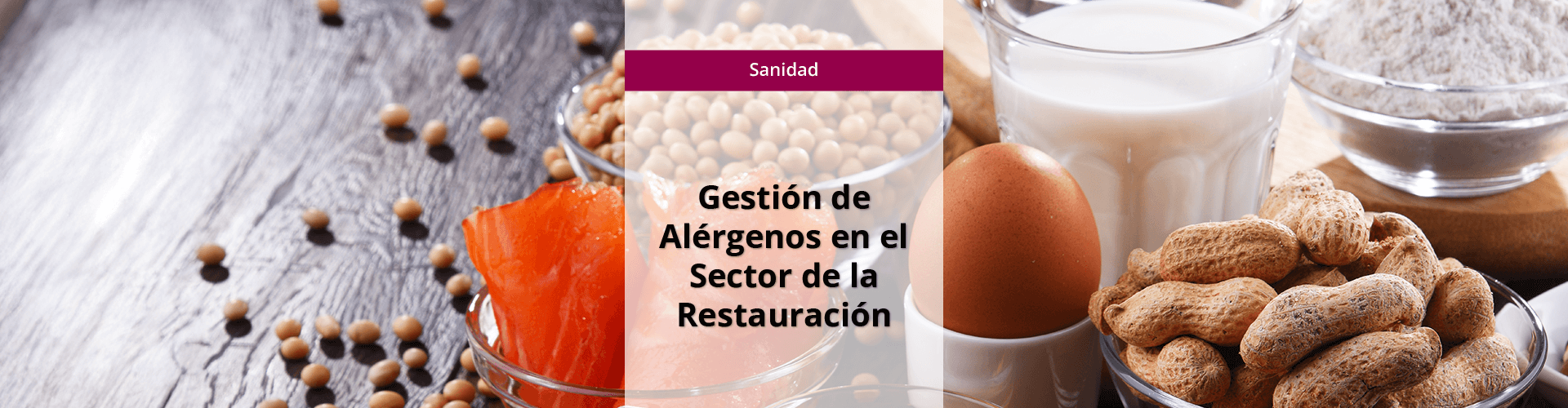 Banner big_OCU_ISBS_Gest-Alergenos-Sect-Rest ISANP038PO - Gestión alérgenos sector restauración