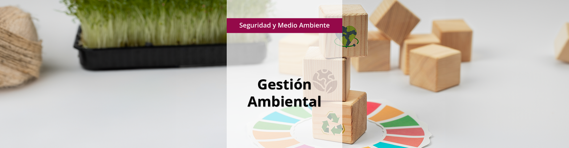 SEAG0211 - Gestión Ambiental