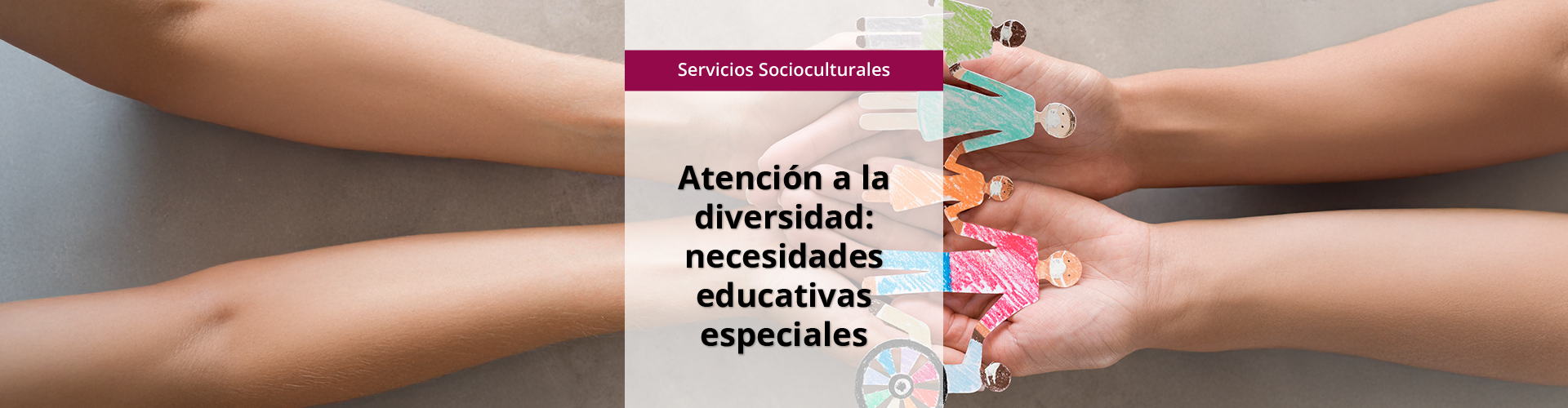 SSCE0097 - Atención a la diversidad:  necesidades educativas especiales