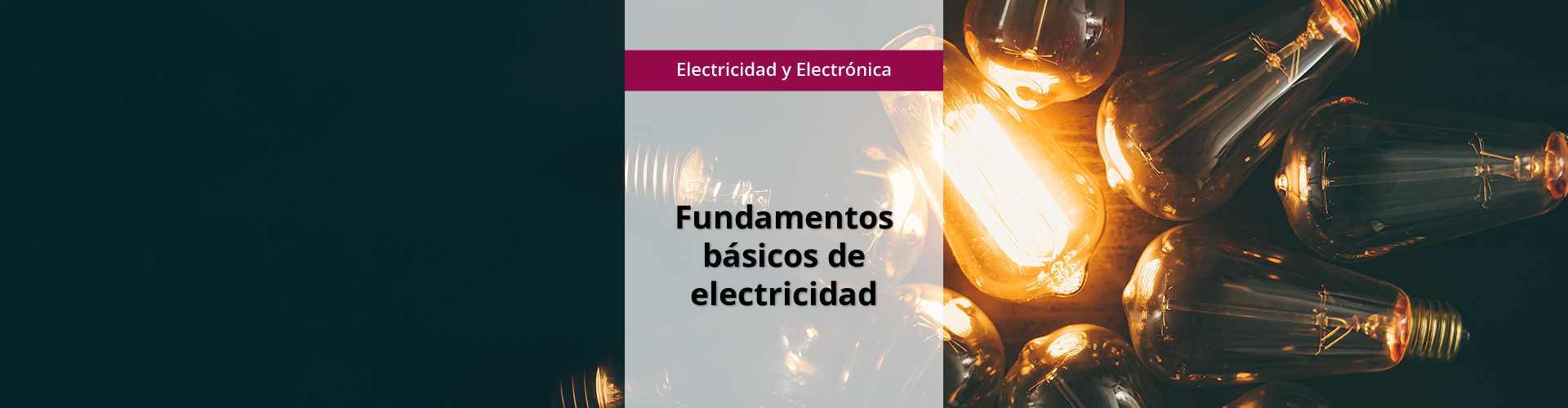 ELEE0021 - Fundamentos básicos de electricidad