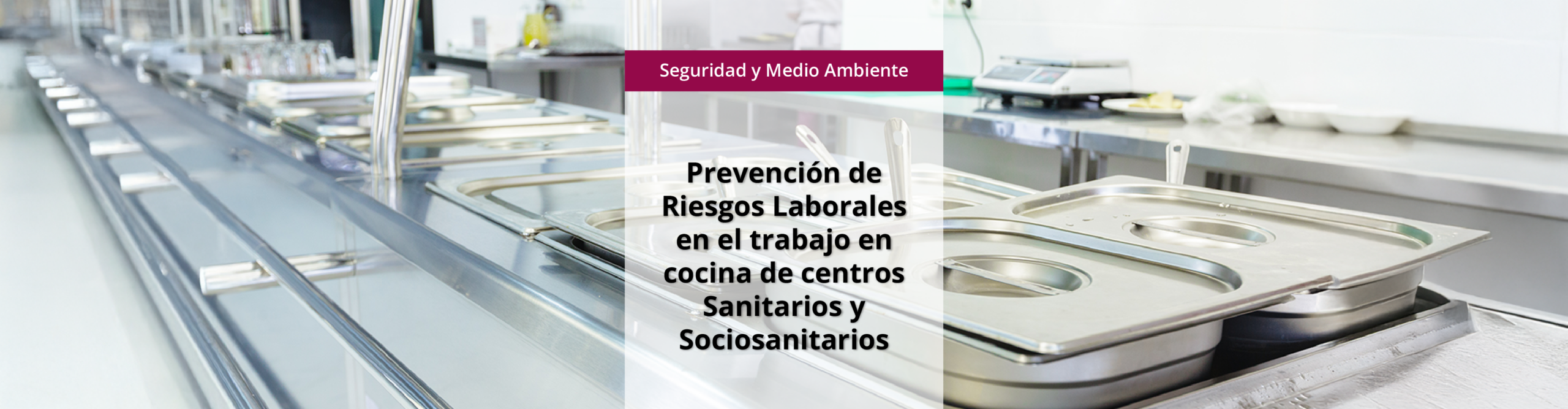 SEAD0240 - Prevención de Riesgos Laborales en el Trabajo en  Cocina de Centros Sanitarios y Sociosanitarios