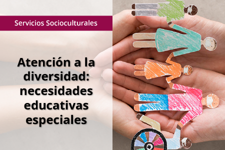 SSCE0097 - Atención a la diversidad: necesidades educativas especiales